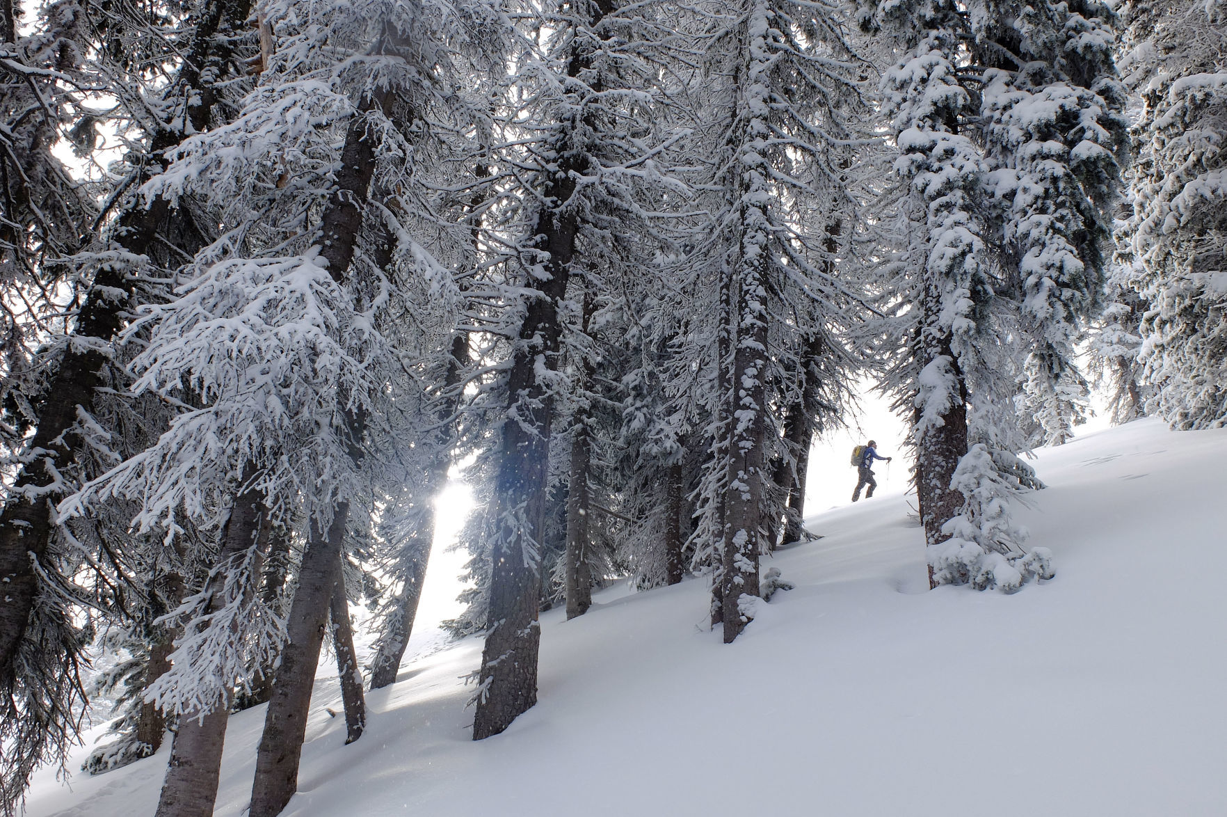 Teton Pass backcountry skiing